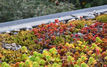 the cost of Sutton St James green roof installation