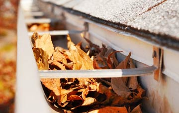 Sutton St James gutter cleaning companies