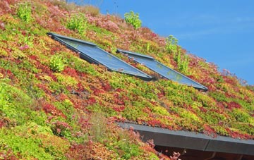 Sutton St James living roof systems