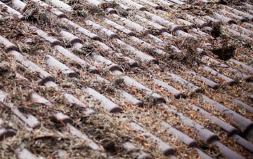 Sutton St James roof cleaning companies