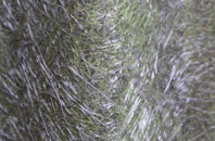 Sutton St James fibreglass roof work